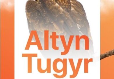 Республиканская олимпиада «Алтын тұғыр»